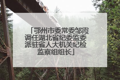 鄂州市委常委邹霞调任湖北省纪委监委派驻省人大机关纪检监察组组长