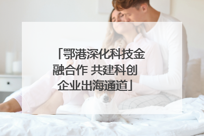 鄂港深化科技金融合作 共建科创企业出海通道