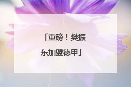 重磅！樊振东加盟德甲