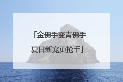 金佛手变青佛手 夏日新宠更抢手
