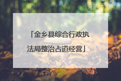 金乡县综合行政执法局整治占道经营