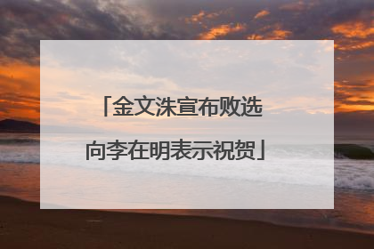 金文洙宣布败选 向李在明表示祝贺