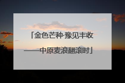 金色芒种·豫见丰收——中原麦浪翻滚时