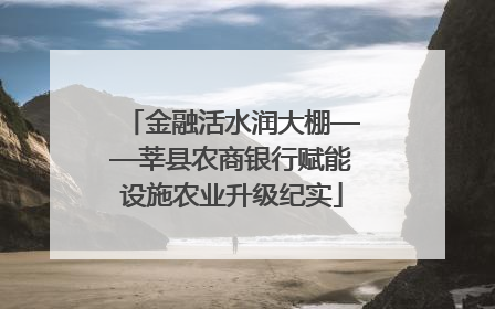 金融活水润大棚——莘县农商银行赋能设施农业升级纪实