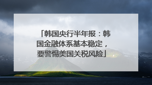 韩国央行半年报：韩国金融体系基本稳定，要警惕美国关税风险