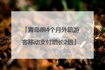 青岛前4个月外籍游客移动支付增长2倍