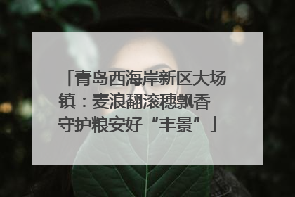 青岛西海岸新区大场镇：麦浪翻滚穗飘香 守护粮安好“丰景”