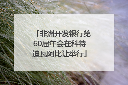 非洲开发银行第60届年会在科特迪瓦阿比让举行
