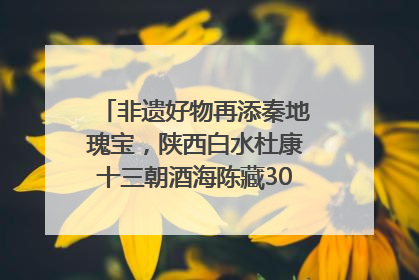非遗好物再添秦地瑰宝，陕西白水杜康十三朝酒海陈藏30年别具一格