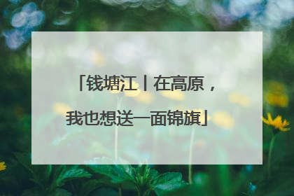 钱塘江丨在高原，我也想送一面锦旗