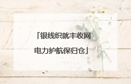 银线织就丰收网 电力护航保归仓