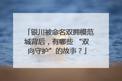 银川被命名双拥模范城背后，有哪些 “双向守护”的故事？