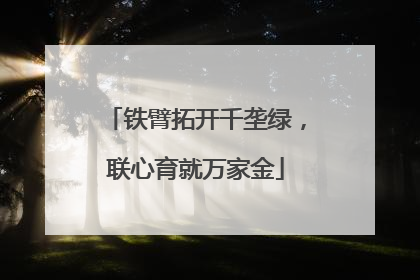 铁臂拓开千垄绿，联心育就万家金