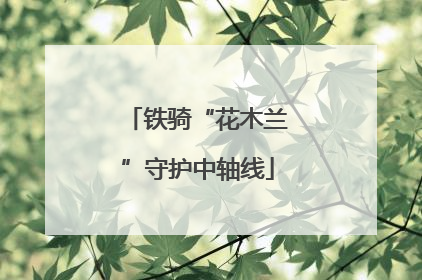 铁骑“花木兰”守护中轴线