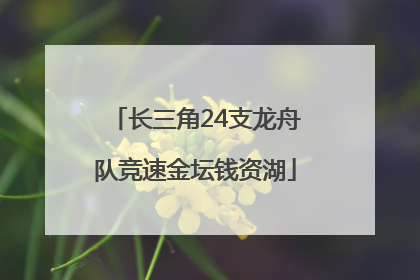 长三角24支龙舟队竞速金坛钱资湖