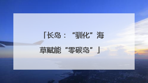 长岛：“驯化”海草赋能“零碳岛”
