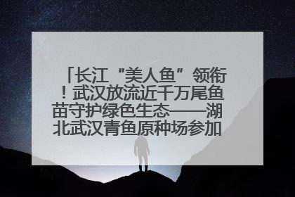长江“美人鱼”领衔！武汉放流近千万尾鱼苗守护绿色生态——湖北武汉青鱼原种场参加2025年“全国放鱼日”增殖放流活动