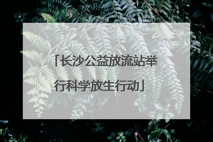 长沙公益放流站举行科学放生行动