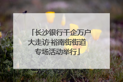 长沙银行千企万户大走访·裕南街街道专场活动举行