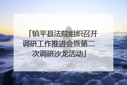 镇平县法院组织召开调研工作推进会暨第二次调研沙龙活动