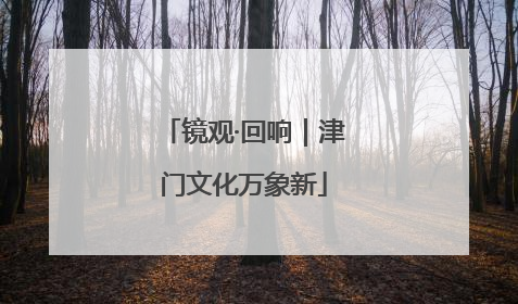 镜观·回响｜津门文化万象新