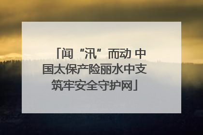 闻“汛”而动 中国太保产险丽水中支筑牢安全守护网