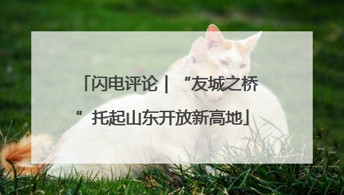 闪电评论｜“友城之桥”托起山东开放新高地