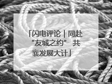 闪电评论｜同赴“友城之约” 共襄发展大计