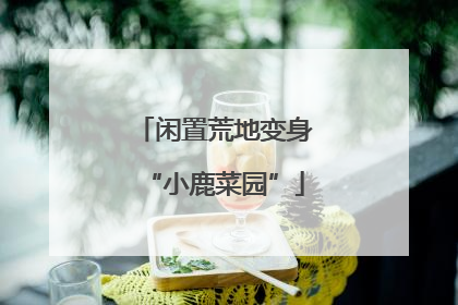 闲置荒地变身“小鹿菜园”