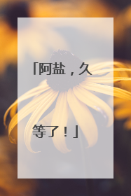 阿盐，久等了！