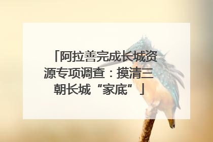 阿拉善完成长城资源专项调查：摸清三朝长城“家底”