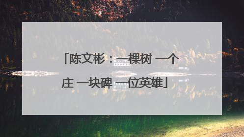 陈文彬：一棵树 一个庄 一块碑 一位英雄