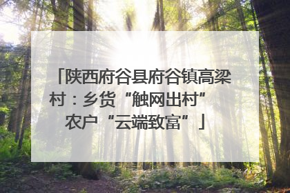 陕西府谷县府谷镇高梁村：乡货“触网出村” 农户“云端致富”