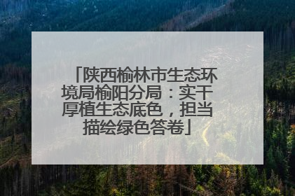 陕西榆林市生态环境局榆阳分局：实干厚植生态底色，担当描绘绿色答卷