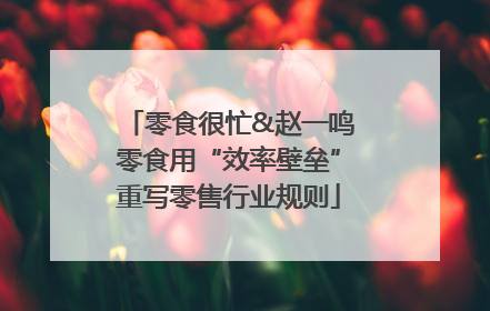 零食很忙&赵一鸣零食用“效率壁垒”重写零售行业规则