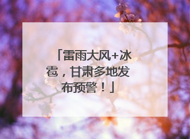 雷雨大风+冰雹，甘肃多地发布预警！