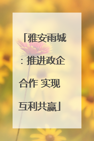 雅安雨城：推进政企合作 实现互利共赢