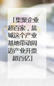 集聚企业超百家，盐城这个产业基地带动周边产业开票超百亿