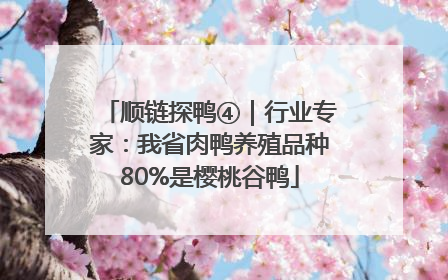 顺链探鸭④｜行业专家：我省肉鸭养殖品种80%是樱桃谷鸭