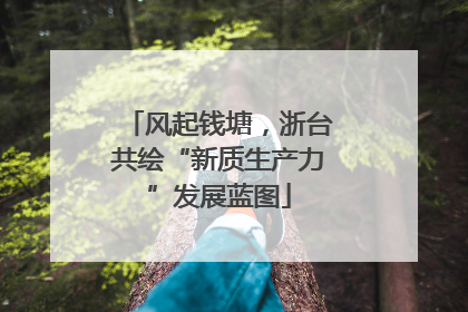 风起钱塘，浙台共绘“新质生产力”发展蓝图