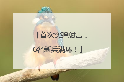 首次实弹射击，6名新兵满环！