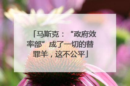 马斯克：“政府效率部”成了一切的替罪羊，这不公平