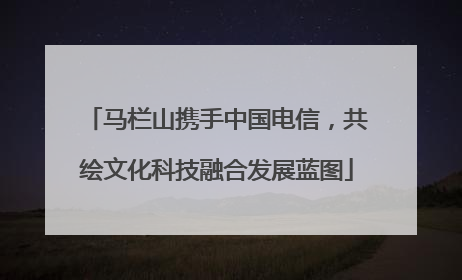 马栏山携手中国电信，共绘文化科技融合发展蓝图