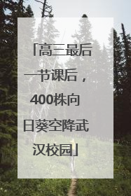 高三最后一节课后，400株向日葵空降武汉校园