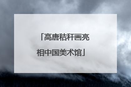 高唐秸秆画亮相中国美术馆
