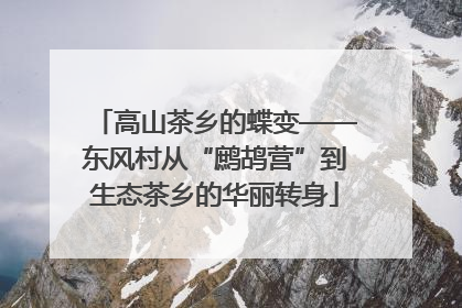 高山茶乡的蝶变——东风村从“鹧鸪营”到生态茶乡的华丽转身