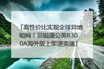 高性价比实现全球异地组网！贝锐蒲公英R300A海外版上架速卖通