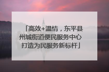 高效+温情，东平县州城街道便民服务中心打造为民服务新标杆