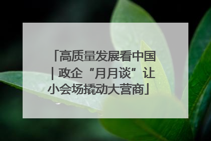 高质量发展看中国｜政企“月月谈”让小会场撬动大营商