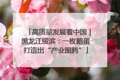 高质量发展看中国｜黑龙江绥滨：一枚鹅蛋打造出“产业图腾”